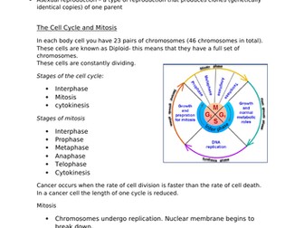 EDEXCEL BIOLOGY 9-1 GCSE (Separate) Topic 2 Cells and Control YP