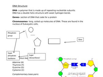 EDEXCEL BIOLOGY 9-1 GCSE (Separate) Topic 3 Genetics YP