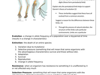 EDEXCEL BIOLOGY 9-1 GCSE (Separate) Topic 4 Natural Selection and Genetic Modification YP