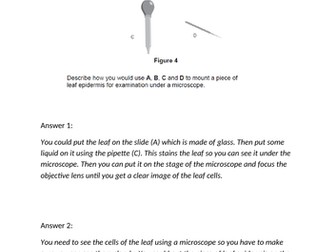 Microscopy exam technique
