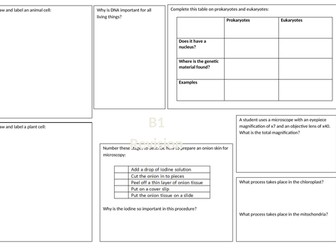 Cells revision mat