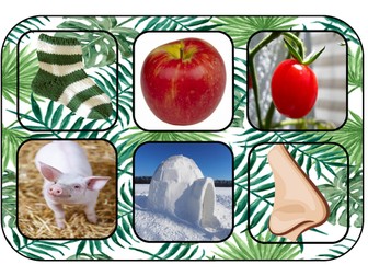 Phase 2 initial sounds photo bingo