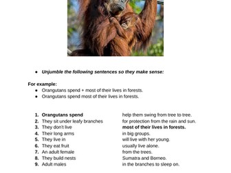 Explanation Text - Why are Orangutans Endangered Creatures?