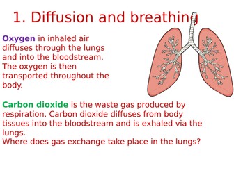 L9 Examples of diffusion