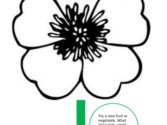 Plants Homework Menu