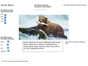 Year 1 Reading Comp Bears