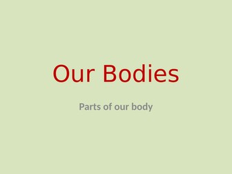 Our Bodies