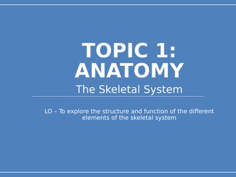 IB SEHS Topic 1 Anatomy Skeletal System