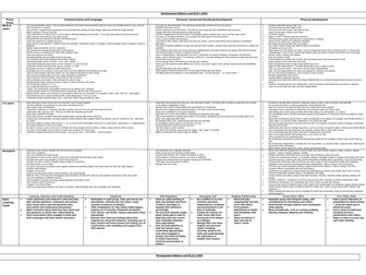 Development Matters EYFS Grid 2020- Early Adopters
