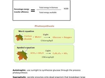 EDEXCEL BIOLOGY 9-1 GCSE (Separate) Topic 6 Plant Structures and their Functions YP