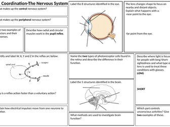 Revision learning mats-GCSE Biology (OCR Gateway) Organism Level Systems