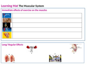Muscular system long and short term effects