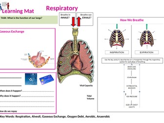 Respiratory system learning mat