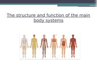 Body Systems - Physical Education