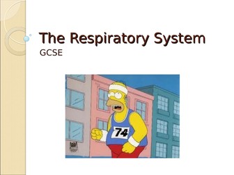 Respiratory System - Physical Education