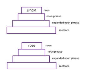 Expanded Noun Phrases