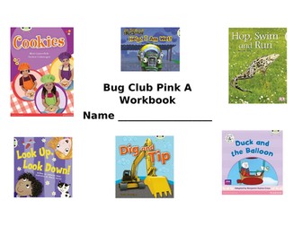 Bug Club Pink A Workbook