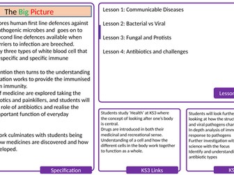 Bacterial vs Viral Diseases