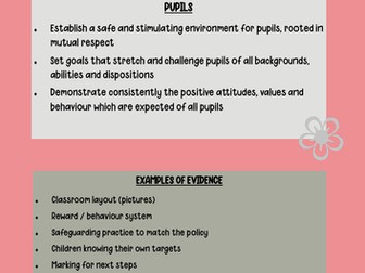 NQT Teacher Standards and CPD Dividers / Cover Sheet