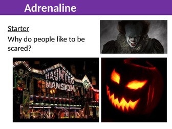 Adrenaline or fight/flight lesson