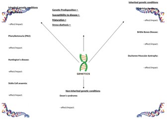 BTEC health and Social care - Unit 1 - section B2 - genetic factors summary