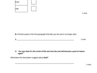 SATS style reading questions