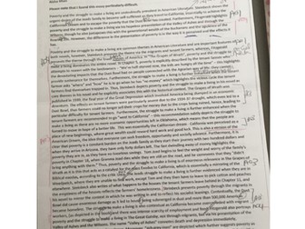 A*GrapesOfWrath/TheGreatGatsbyEssayonPoverty/A-Level