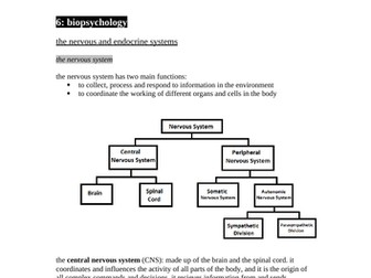 Biopsychology: AQA Psychology A-Level Notes