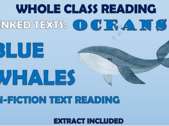 Blue Whales Non-Fiction Text - Whole Class Guided Reading!