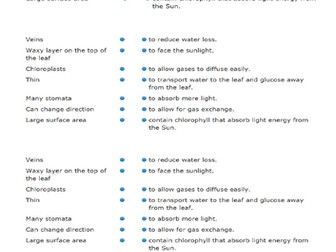 Plant Tissues and Organs