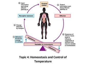 Homeostasis for Applied Human Biology BTEC Level 3