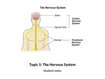 The Nervous System for Applied Human Biology BTEC Level 3