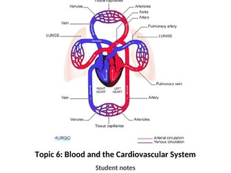 Blood and the Cardiovascular System for Applied Human Biology BTEC Level 3