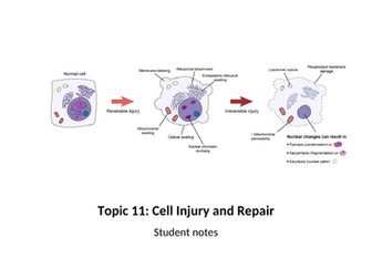 Cell Injury and Repair for Applied Human Biology