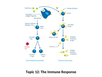 Immune Response for Applied Human Biology BTEC Level 3