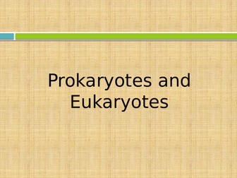 Prokaryotes and Eukaryotes
