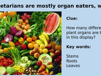 Plant tissues