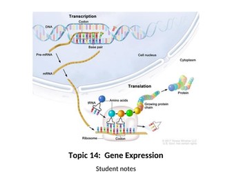 Gene Expression for Applied Human Biology BTEC Level 3