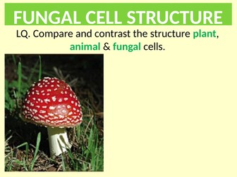 AQA. GCE. Biology. Cells. Fungal cell structure