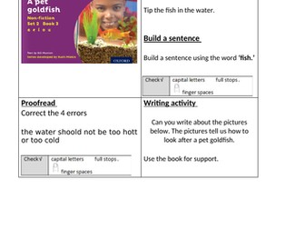RWInc Purple story books - activity sheets