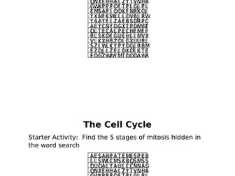 The Cell Cycle