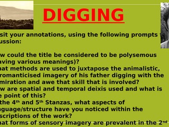 A Level - Seamus Heaney