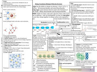 Biological Molecules Revision Sheet