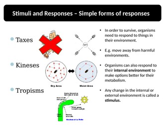 Stimuli and Responses, Nervous Coordination Revision A Level Topic 6