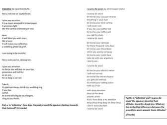 Unseen Poetry questions