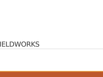 IGCSE GEOGRAPHY FIELDWORK EXPERIENCE