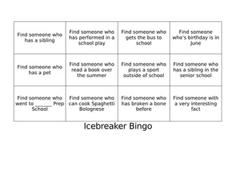 Icebreaker Bingo