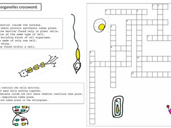 KS3 Cells and Organelles Crossword
