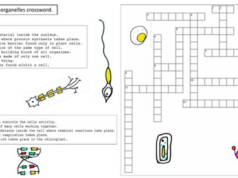 KS3 Cells and Organelles Crossword