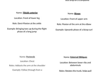 GCSE PE edexcel Types of Movement